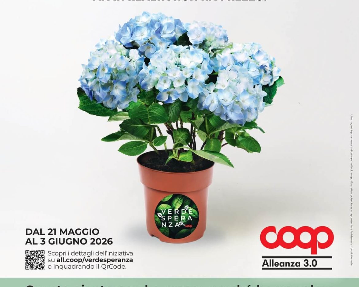 Ortensia Lecce