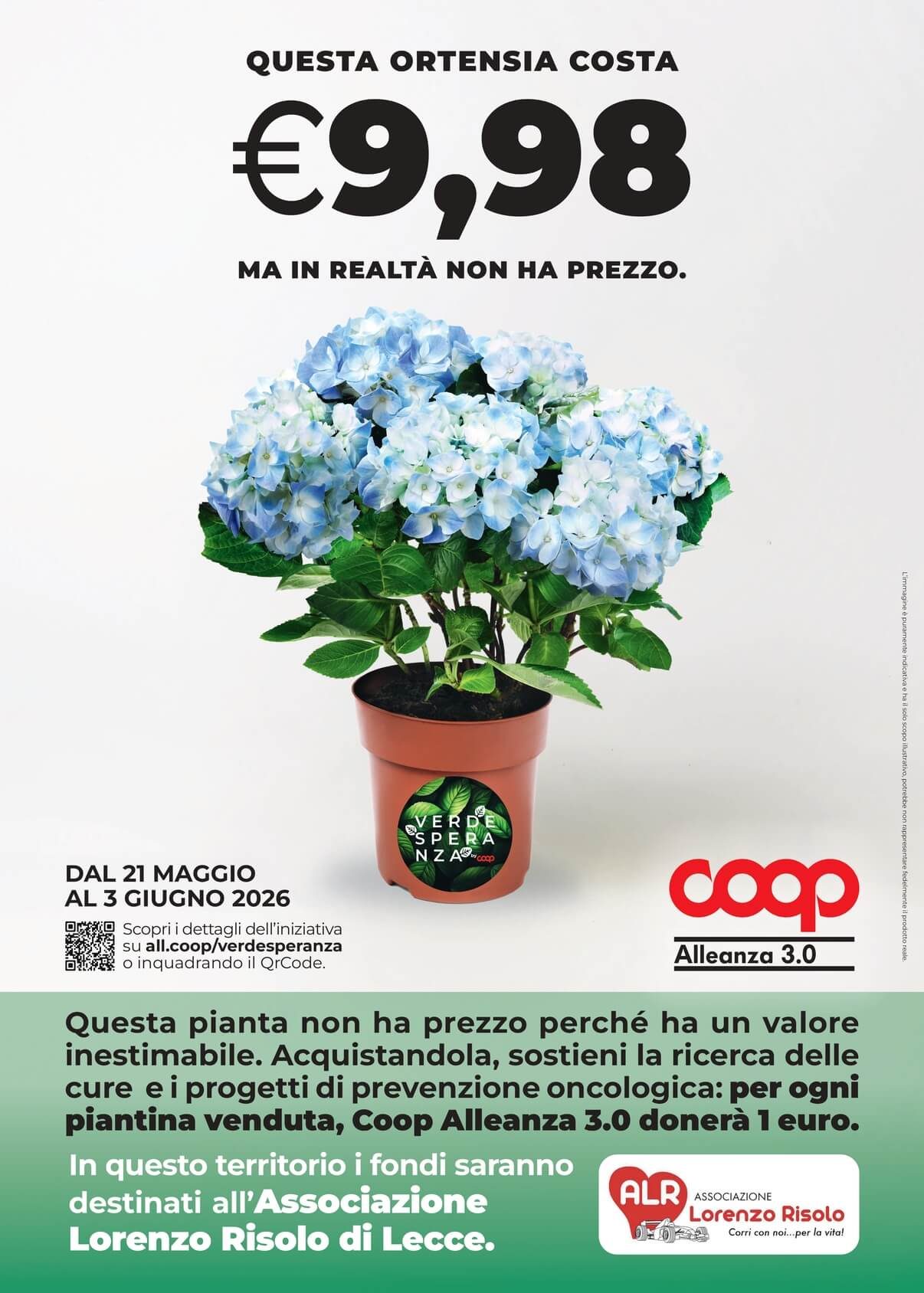 Ortensia Lecce