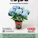 Verde Speranza: Dal 21 Maggio al 3 Giugno