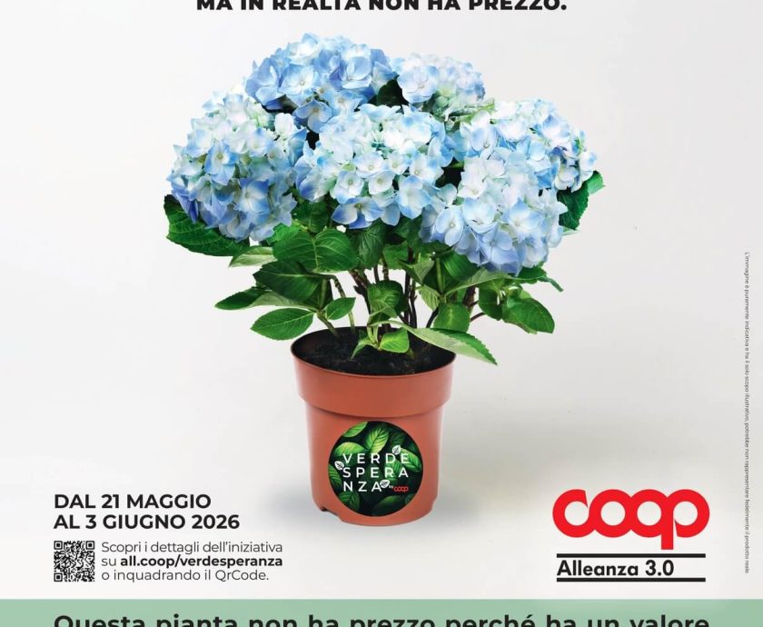 Ortensia Lecce